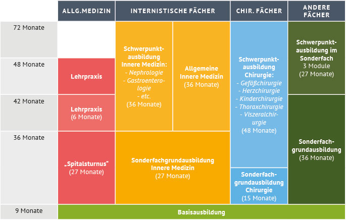 Tabelle der einzelnen Module und Abschnitte der ärztlichen Ausbildung in Österreich