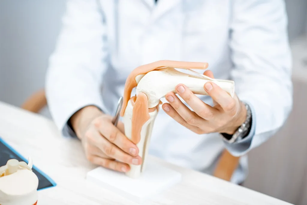 Ein Orthopäde zeigt die Anatomie an einem künstlichen Kniegelenk.